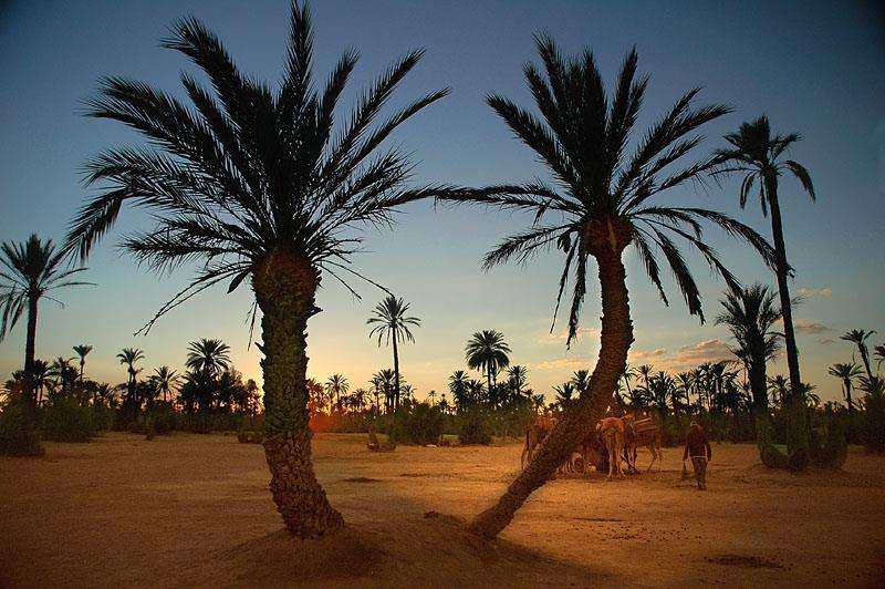 Maroc-quad-passion